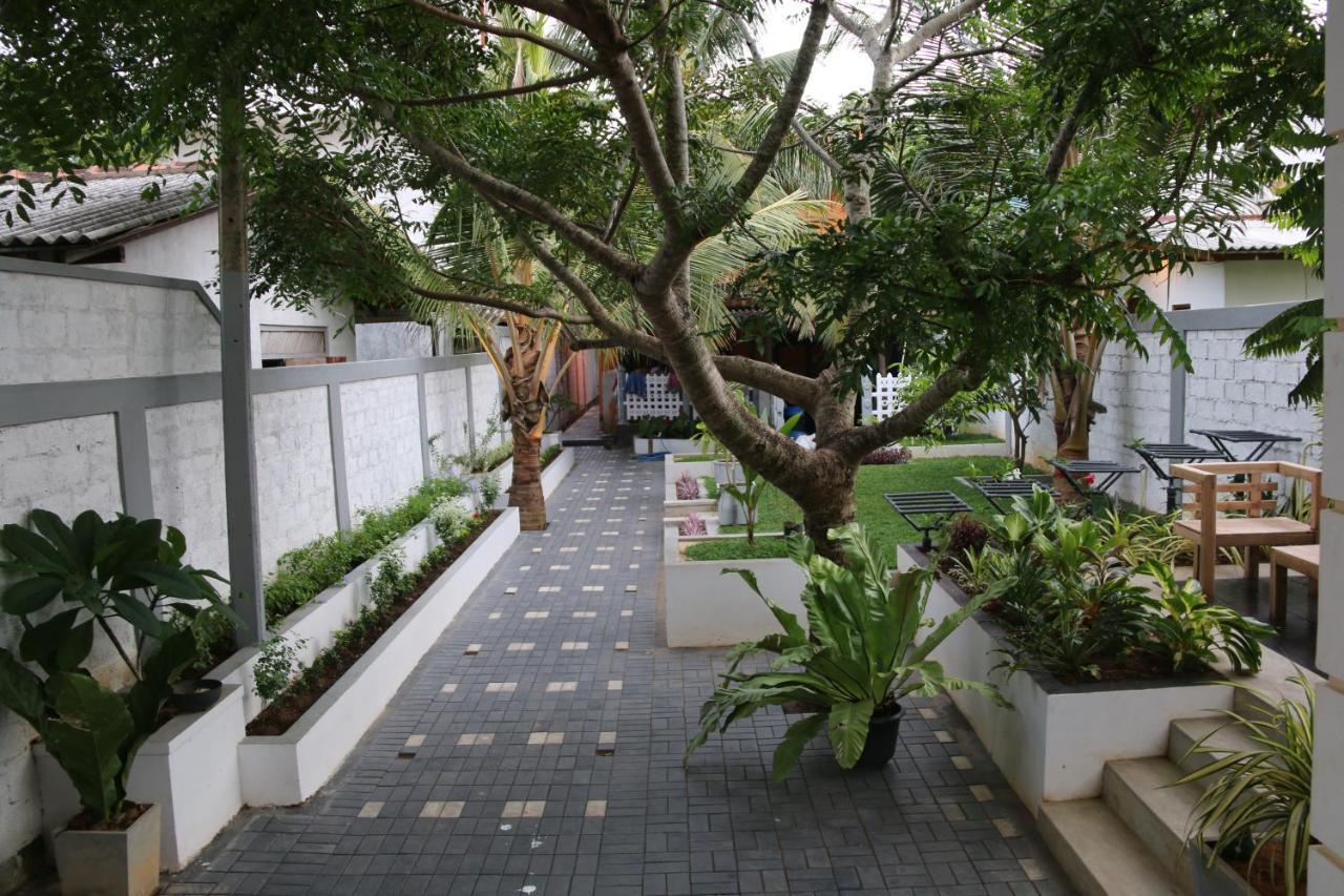 Hotel Surf'N Lanka - Surf School Weligama Exterior foto